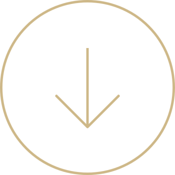 ABOUT - Tawazun Council